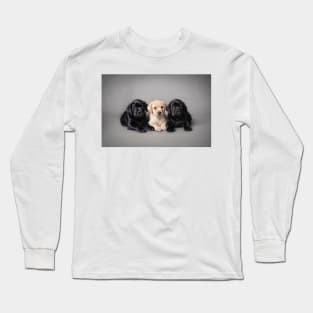 Labrador retriever puppies Long Sleeve T-Shirt